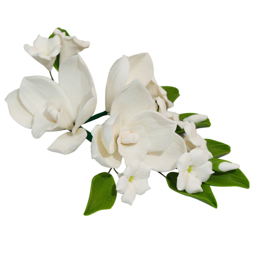 ГІЛОЧКА ОРХІДЕЇ №2 БІЛА
